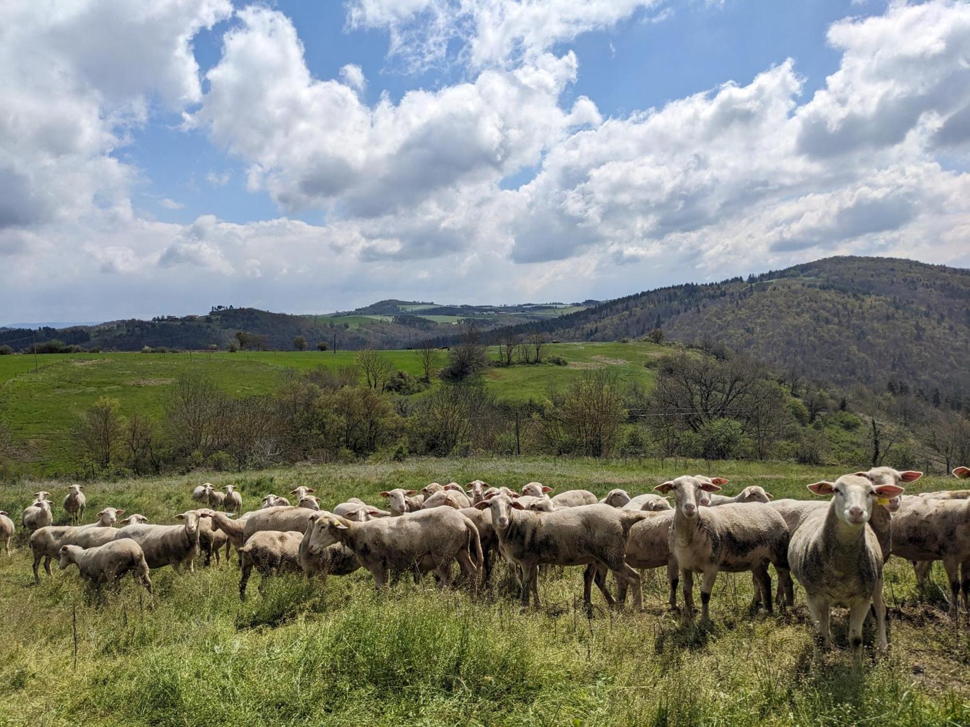 La Grange, Le Hameau Des Volcans - Deconnexion Face A La Vue Saint-Just-pres-Brioude Kültér fotó